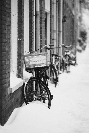 winter netherlands city